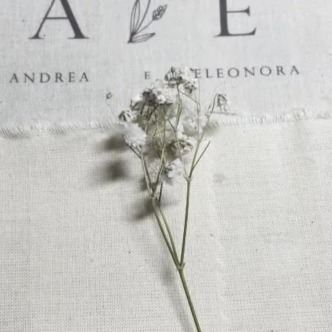 Lino grezzo con i nomi degli sposi stampati e un rametto di gypsophila