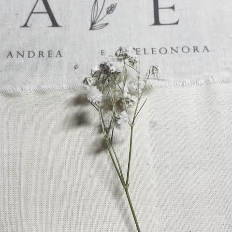 Partecipazioni in tessuto iniziali